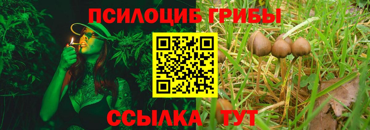 Галлюциногенные грибы мухоморы Елец