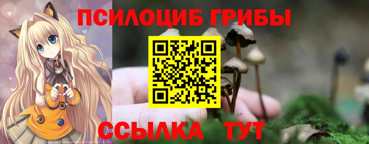Псилоцибиновые грибы MAGIC MUSHROOMS  Вход с VPN  Елец 